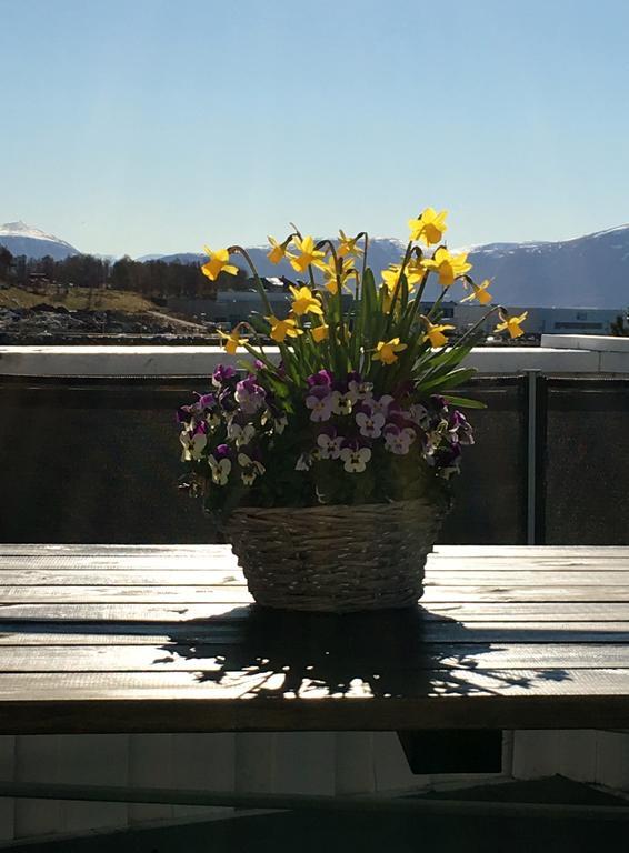 Ytterland Apartments Ålesund Εξωτερικό φωτογραφία